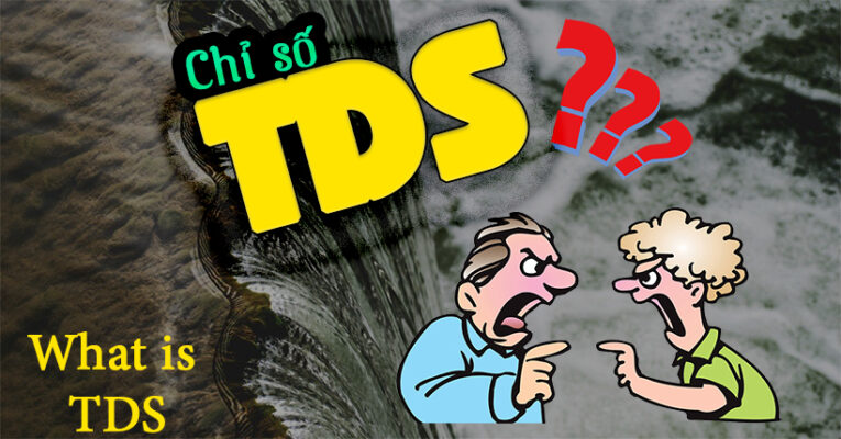 chỉ số tds