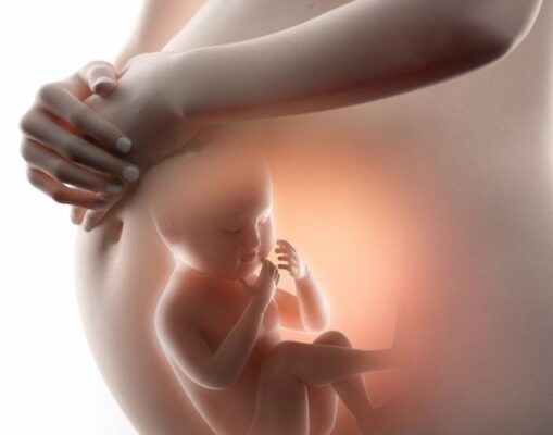nước có vai trò như nào đối với mẹ bầu