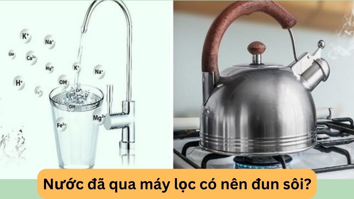 Nước đã qua máy lọc có nên đun sôi? Những lưu ý khi cần đun sôi nước đã lọc