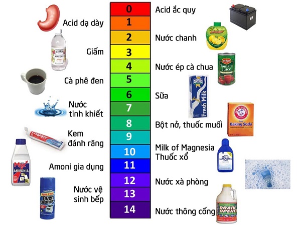 Độ pH là gì? Cách đo pH của dụng dịch phổ biến