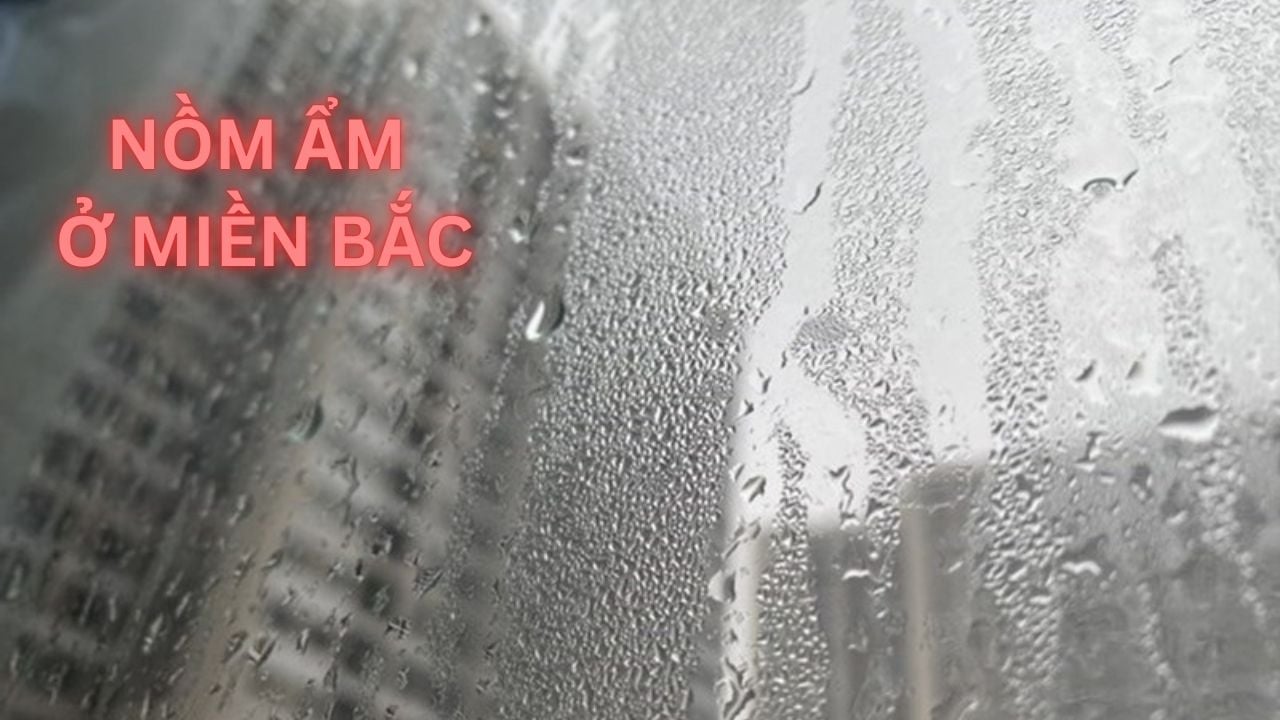 Bao giờ hết mua phùn, nồm ẩm ở miền Bắc?