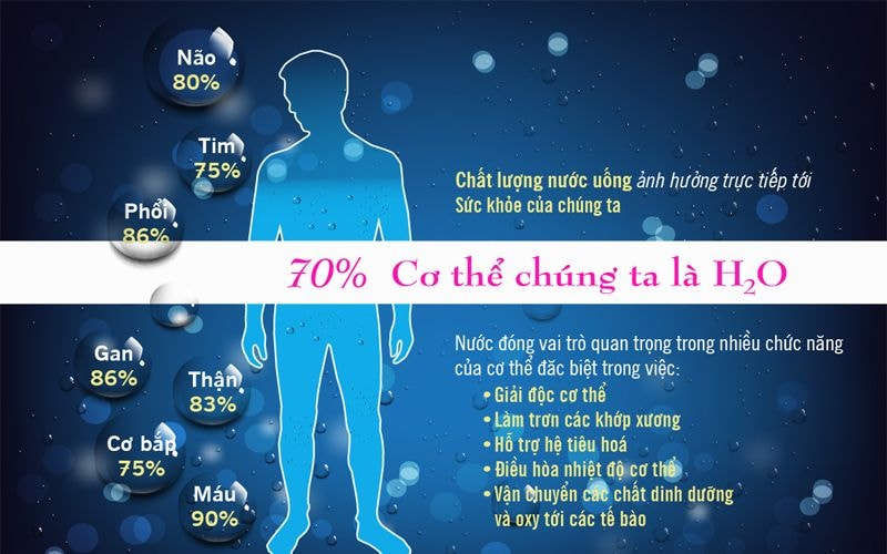Tại sao trời lạnh lại càng phải uống nhiều nước trong khi không khát.